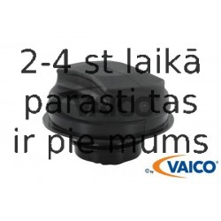 Vāciņš, Degvielas tvertne VAICO V40-0558