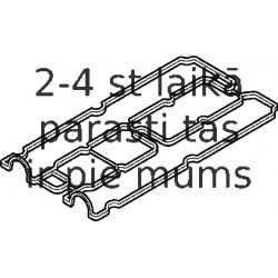 Прокладка, крышка головки цилиндра ELRING 010.370
