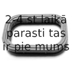 Blīve, Ieplūdes kolektors ELRING 027.150