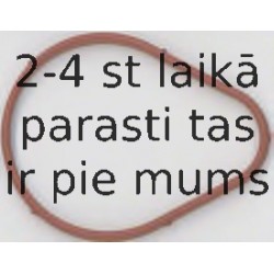 Blīve, Ieplūdes kolektors ELRING 181.380