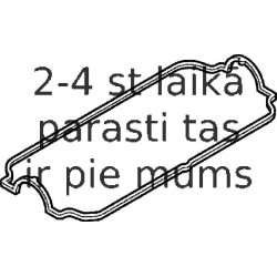 Прокладка, крышка головки цилиндра ELRING 194.020