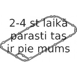 Blīve, Eļļas vācele ELRING 215.190