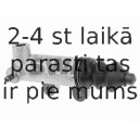 Рабочий цилиндр, система сцепления SWAG 70 91 4129