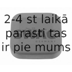 Vāciņš, Eļļas ieliešanas kakliņš SWAG 20 22 0001