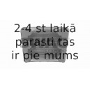 Vārsta drošības ķīlis SWAG 20 90 1014