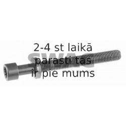 Cilindru galvas skrūve SWAG 30 22 0004