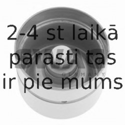 Bīdītājs SWAG 40 18 0005