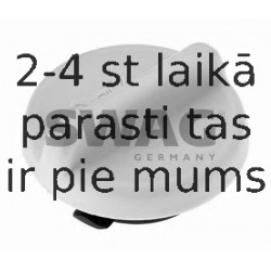 Vāciņš, Eļļas ieliešanas kakliņš SWAG 40 91 7799