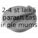Vāciņš, Dzesēšanas šķidruma rezervuārs SWAG 99 90 2111