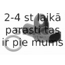 Devējs, Sadales vārpstas stāvoklis SWAG 20 92 3799