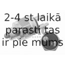 Slēdzis, Atpakaļgaitas signāla lukturis SWAG 55 91 5096