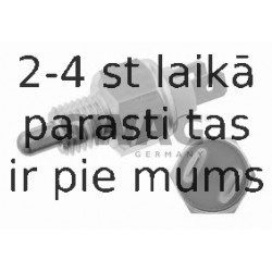 Slēdzis, Atpakaļgaitas signāla lukturis SWAG 99 90 1625