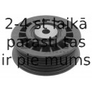 Parazīt-/Vadrullītis, Ķīļrievu siksna SWAG 10 03 0001