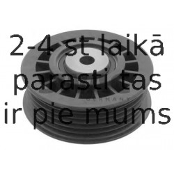 Parazīt-/Vadrullītis, Ķīļrievu siksna SWAG 10 03 0001