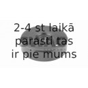 Spriegotājrullītis, Ķīļrievu siksna SWAG 10 03 0010