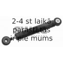 Demferis, Ķīļrievu siksna SWAG 10 52 0022