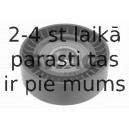 Parazīt-/Vadrullītis, Ķīļrievu siksna SWAG 10 92 3779