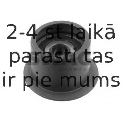 Parazīt-/Vadrullītis, Zobsiksna SWAG 20 03 0004