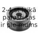 Parazīt-/Vadrullītis, Zobsiksna SWAG 30 03 0012