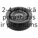 Parazīt-/Vadrullītis, Ķīļrievu siksna SWAG 30 03 0032