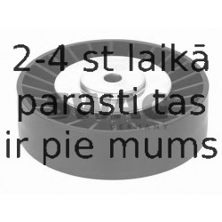 Parazīt-/Vadrullītis, Ķīļrievu siksna SWAG 30 03 0039