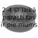 Spriegotājrullītis, Ķīļrievu siksna SWAG 30 03 0091