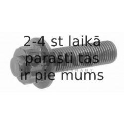 Piedziņas skriemeļa skrūve SWAG 30 05 0017