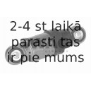 Demferis, Ķīļrievu siksna SWAG 30 52 0006