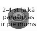 Parazīt-/Vadrullītis, Zobsiksna SWAG 32 92 4754