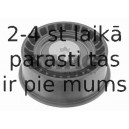 Parazīt-/Vadrullītis, Zobsiksna SWAG 40 03 0010