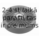 Parazīt-/Vadrullītis, Ķīļrievu siksna SWAG 40 03 0021