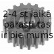 Zobrats, Kloķvārpsta SWAG 40 05 0013