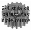 Zobrats, Kloķvārpsta SWAG 40 05 0013