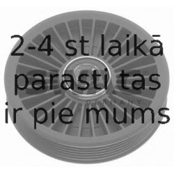 Parazīt-/Vadrullītis, Ķīļrievu siksna SWAG 55 03 0027