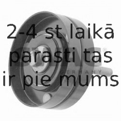 Parazīt-/Vadrullītis, Ķīļrievu siksna SWAG 55 92 6871