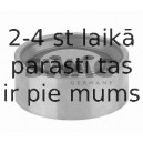 Spriegotājrullītis, Gāzu sadales mehānisma piedziņas siksna SWAG 60 03 0044