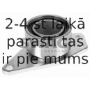 Parazīt-/Vadrullītis, Zobsiksna SWAG 60 91 9471