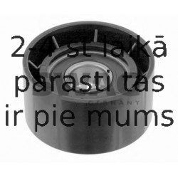 Parazīt-/Vadrullītis, Ķīļrievu siksna SWAG 60 92 3397