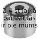 Parazīt-/Vadrullītis, Ķīļrievu siksna SWAG 62 91 9214