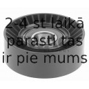 Parazīt-/Vadrullītis, Ķīļsiksna SWAG 70 91 9871