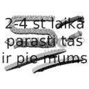 Sadales vārpstas piedziņas ķēdes komplekts SWAG 99 13 0322