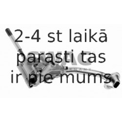 Eļļas sūknis SWAG 30 91 9416