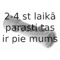 Piltuve, Eļļas līmeņa tausts SWAG 30 91 9754