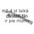 Piltuve, Eļļas līmeņa tausts SWAG 30 91 9756