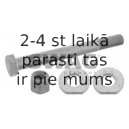 Болт регулировки развала колёс SWAG 10 56 0002