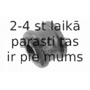 Piekare, Stabilizators SWAG 10 61 0050