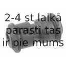 Bukse, Lāgu atsperes gredzens SWAG 10 79 0081