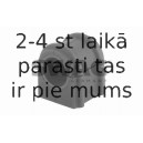 Piekare, Stabilizators SWAG 10 91 8875