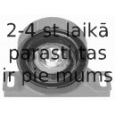 Piekare, Kardānvārpsta SWAG 20 87 0002