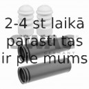 Пылезащитный комилект, амортизатор SWAG 20 91 3096